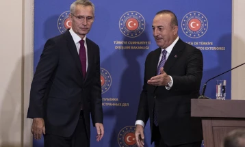 NATO chief urges Turkey to OK Swedish, Finnish bids 'in near future'