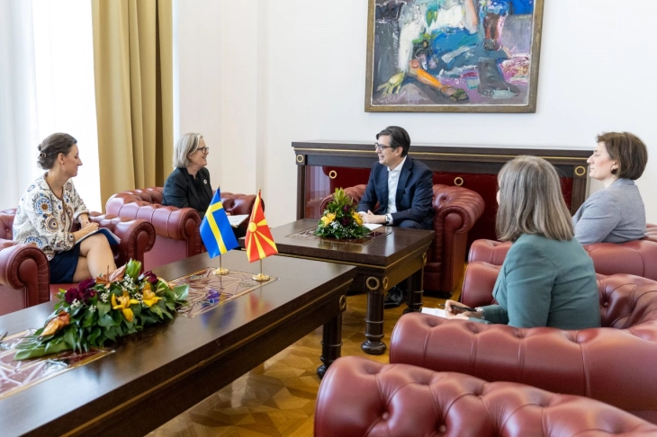 President Pendarovski meets SIDA DG Jämtin