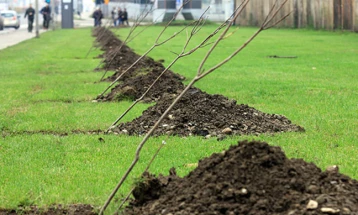 Садење дрвца во Градскиот парк во Скопје по повод 20 години „Еко-свест“