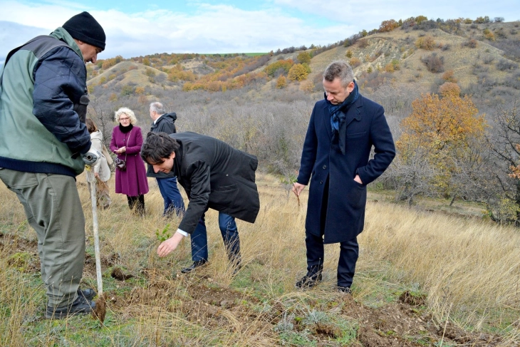 Британската амбасада во Скопје покрена иницијатива „Засади дрво за јубилејот“ за одбележување на 70. Платинест јубилеј на Кралицата Елизабета Втора