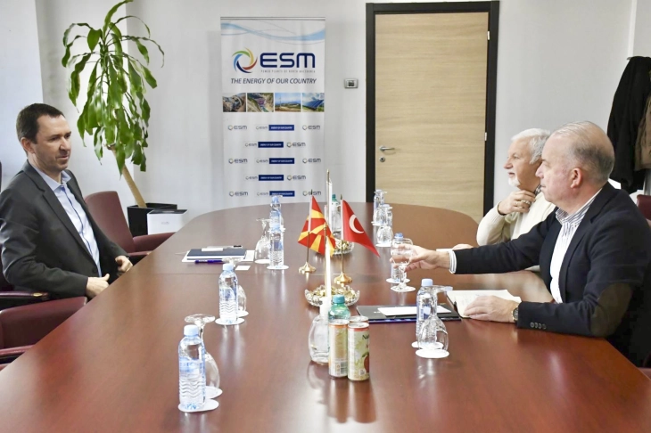 Turkish company AKSA interested in cooperation with ESM on energy investments