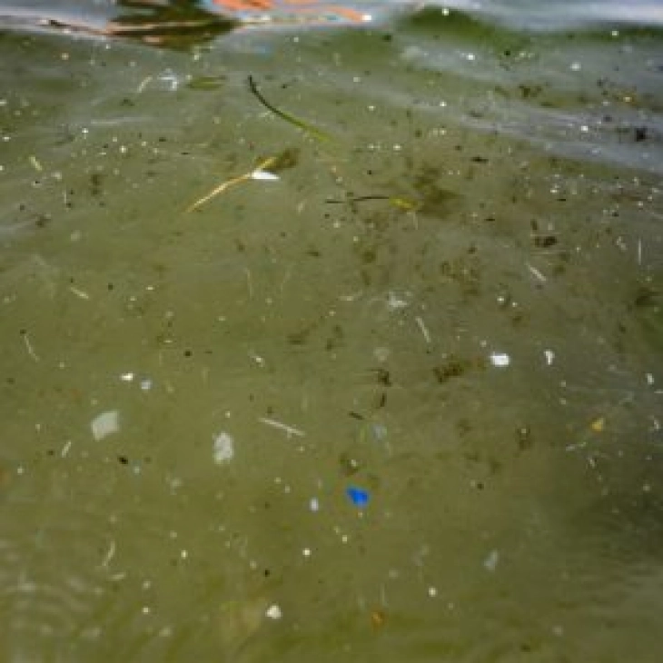 Третина од микропластиката во океаните доаѓа од едно изненадувачко место