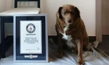 Боби - официјално најстарото куче во поновата историја
