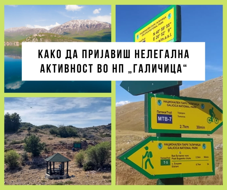 Дел од вработените во Националниот парк „Галичица“ предупредуваат на недоследности во работењето на Јавната установа и политички притисоци