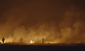 Пожар помеѓу селото Миладиновци и рафиниријата ОКТА