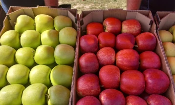 Македонските јаболка најпогодени од руските санкции, неизвесен извозот и на праската и црешата