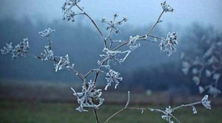 Најстудено во Берово и во Битола, најтопло во Дојран
