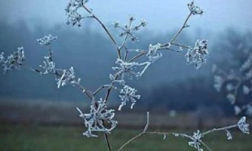 Најстудено во Берово и во Битола, најтопло во Дојран