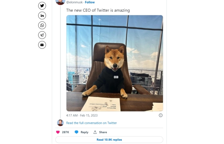 Илон Маск си „го постави“ кучето за директор Твитер