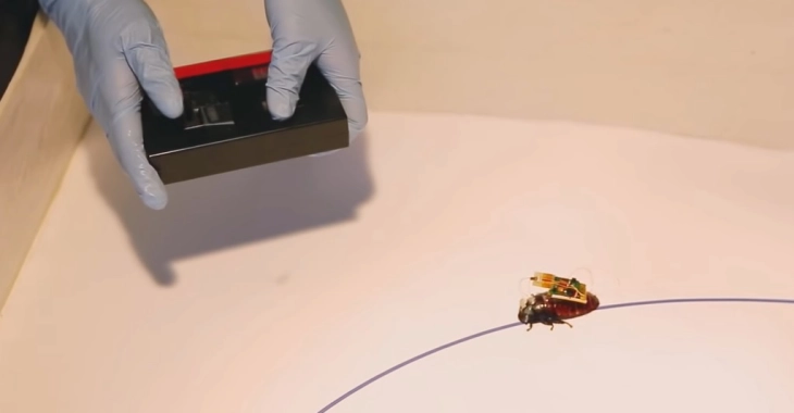 Биоботи - бубачки на иднината кои можат да помогнат при земјотрес