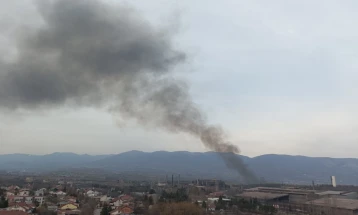 Опожарена трска на Смилковско Езеро, интервенираат две противпожарни возила