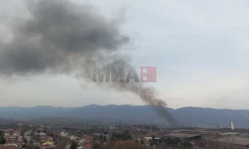 Ka marrë flakë kallami në Liqenin e Smilkovës, ndërhyjnë dy automjete zjarrrfikëse