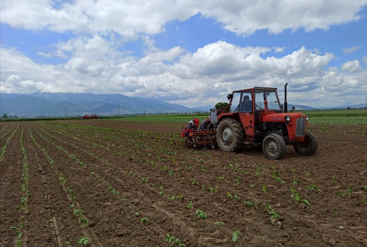 Врнежите добредојдени за земјоделството
