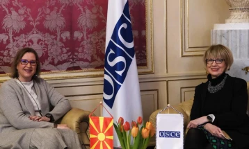 Средба Грковска - Шмид: Во услови на безбедносна, енергетска и економска криза, одговорноста на политичарите е уште поголема