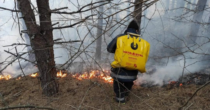Попладнево во Крива Паланка шумски пожар во село Киселица