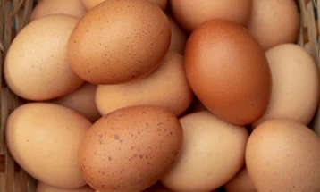 Egg prices in EU increase by 30% over one year