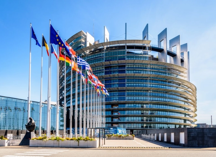 Parliamentary delegation on working visit to EU Parliament in Strasbourg