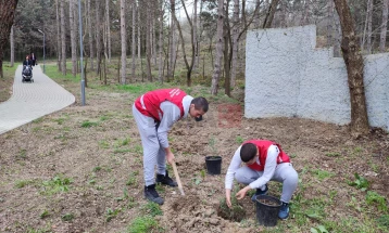 Посадени садници во околината на Вински музеј Кавадарци 