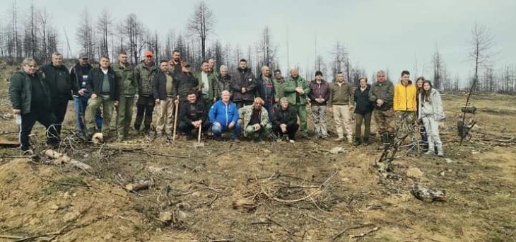 Во Пехчево реализирана акција за засадување дрвца кај локалитетот Св.Петка