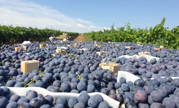 Промоција на досегашните резултати од проектот „Развој на систем за управување со органски отпад во производство на грозје и вино во Тиквешкиот регион“