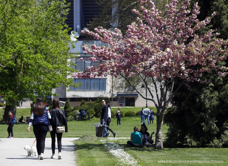 Weather: Sunny with a few clouds; some patchy rain later