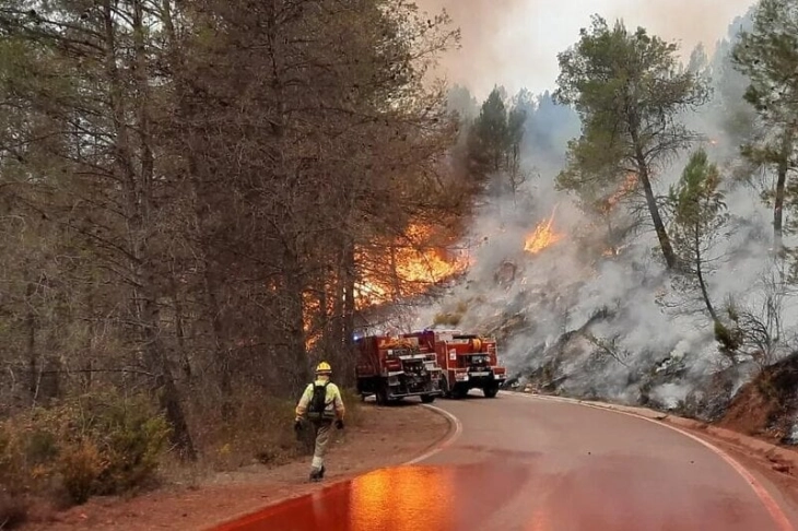 Во Европа почна сезоната на пожари, во Шпанија огнот зафати 4.000 хектари шума