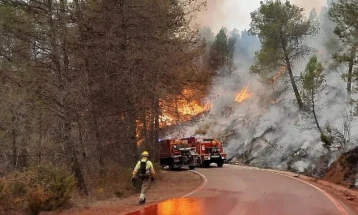 Во Европа почна сезоната на пожари, во Шпанија огнот зафати 4.000 хектари шума