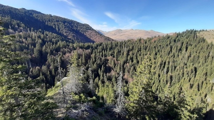 Националниот парк Шар Планина доби план за управување, ќе биде основа за надминување повеќе предизвици