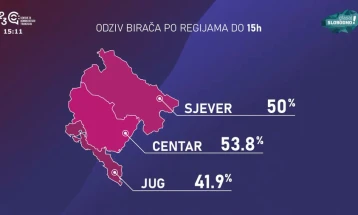 ДИК: До 15 часот на изборите во Црна Гора излегле 48,97 отсто од избирачите