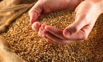 Bashkimi Evropian do të japë 100 milionë euro kompensim për vendet e prekura nga importi i drithit ukrainas