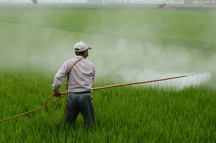 EEA: BE edhe më tej varet nga sasi të mëdha të pesticideve