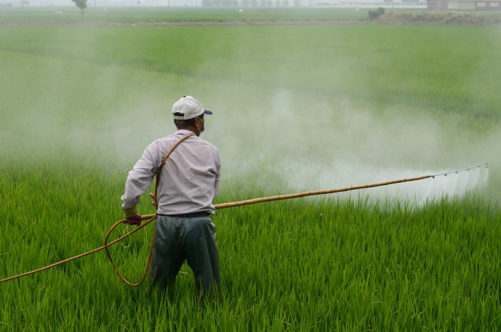 EU remains dependent on 'high volumes' of pesticide, agency warns