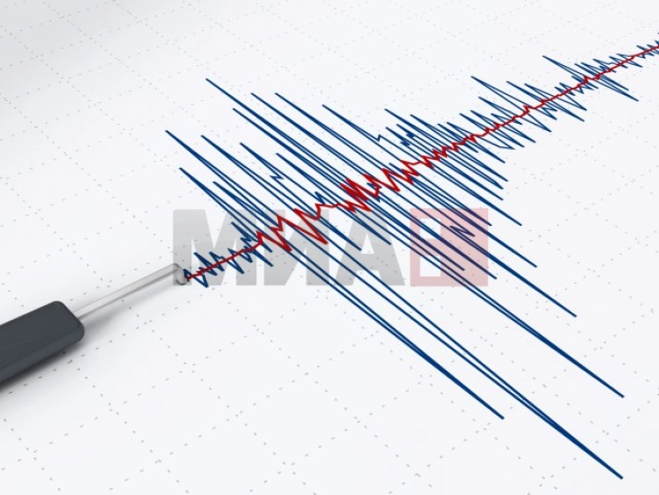 Земјотрес со јачина од 4,6 степени во турската провинција Кахраманмараш