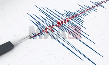 Земјотрес со јачина од 4,6 степени во турската провинција Кахраманмараш