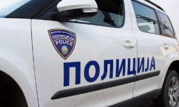 Police find 11 migrants near Gevgelija
