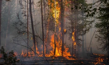 At least 21 killed in wildfires in Russia