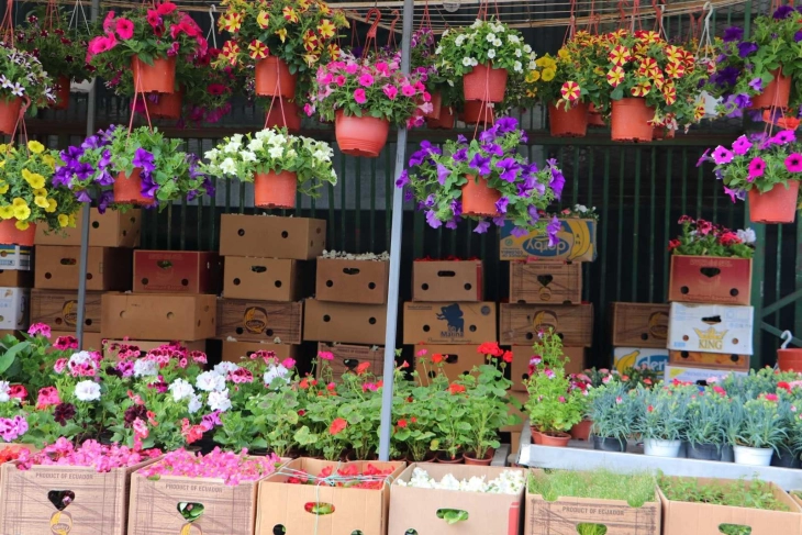 Зелениот пазар Куманово ќе добие адаптиран простор за цветен пазар