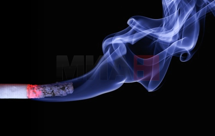 Се зголемува бројот на млади пушачи во Германија