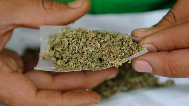 Запленета марихуана во Кочани