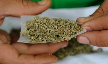 Запленета марихуана во Кочани