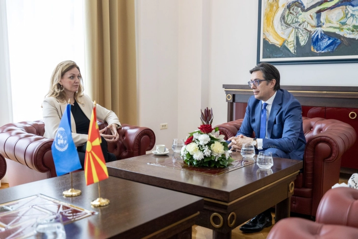 President Pendarovski meets with UNDP Regional Director Živković