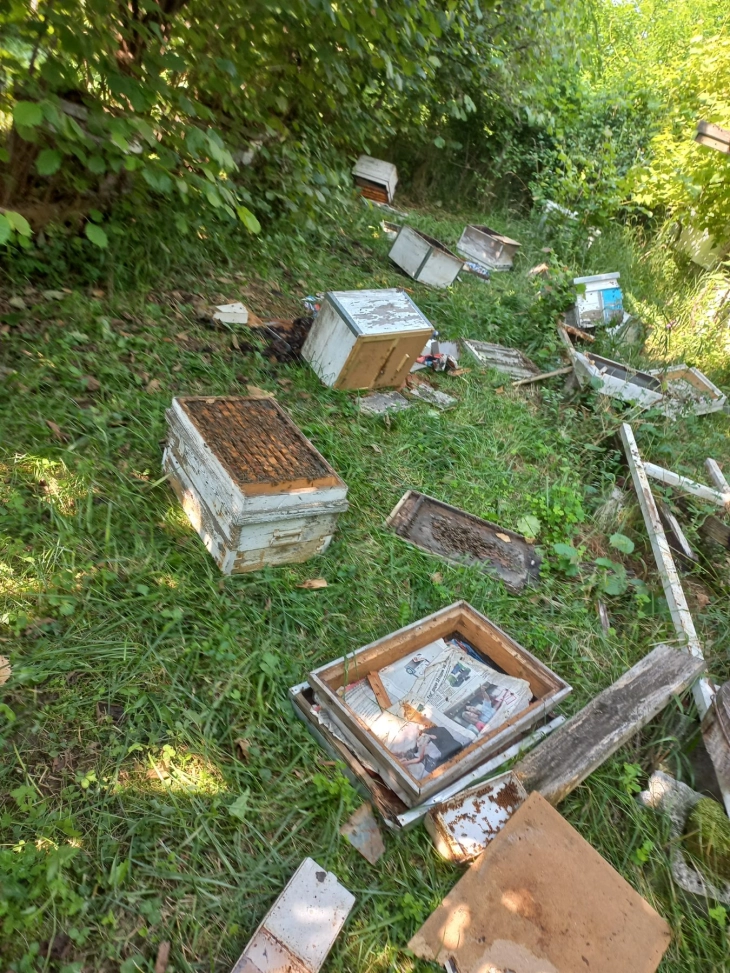Дваесетина сандаци со пчелни семејства уништени од мечка