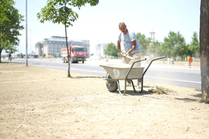 Реализација на проектот „За модерно Скопје“ во општина Аеродром