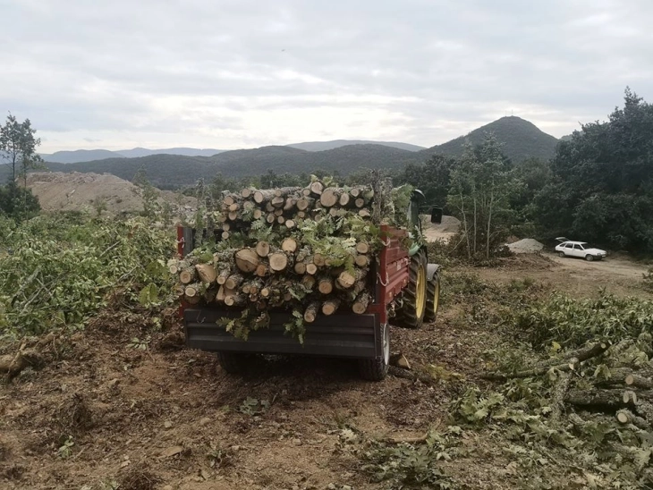 Приведен дебарчанец, нелегално превезувал огревни дрва