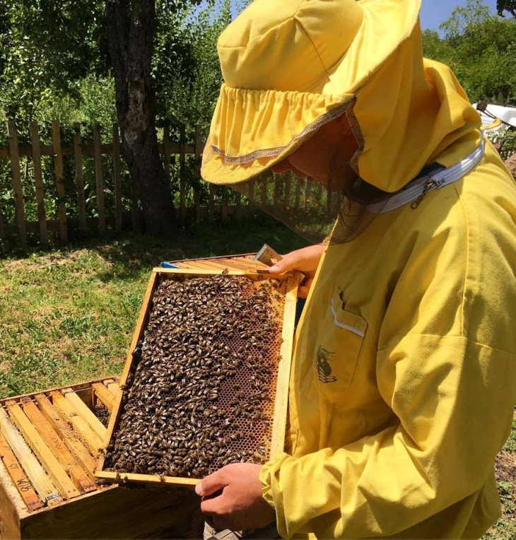 До крајот на јуни земјоделците може да аплицираат за субвенции за пчелни семејства