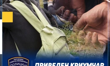 Migrant smuggler detained, eight Syria migrants found near Bogdanci