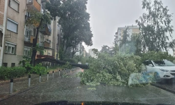Невреме во Скопје, дрво падна врз автомобил во движење