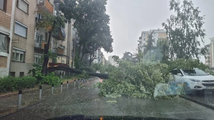 Поплавени подруми, улици и подвозници, паднати дрвја и скршени бандери по невремето во Скопје