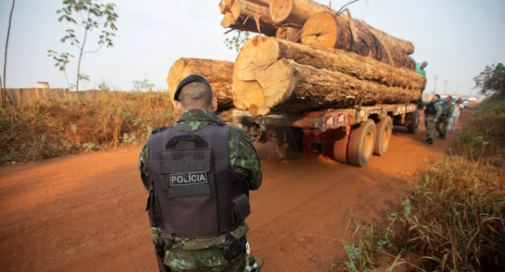 Dukshëm reduktohet shpyllëzimi në Amazonë