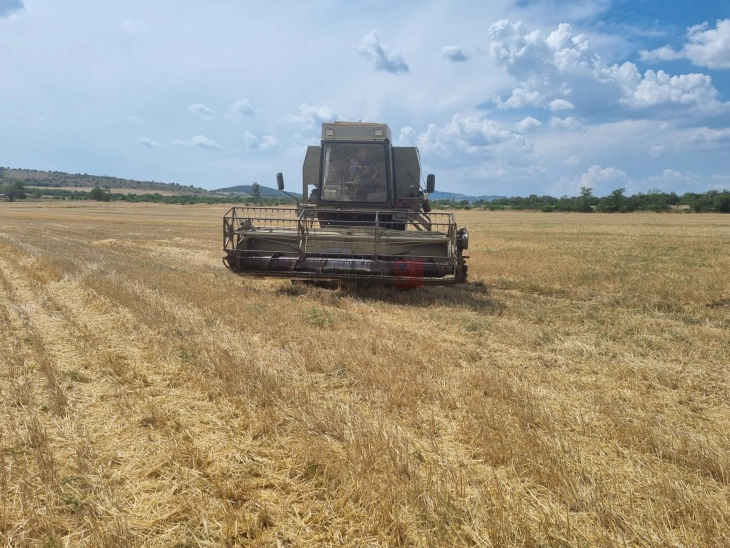 Националната мрежа на земјоделци бара интервентен откуп на пченицата
